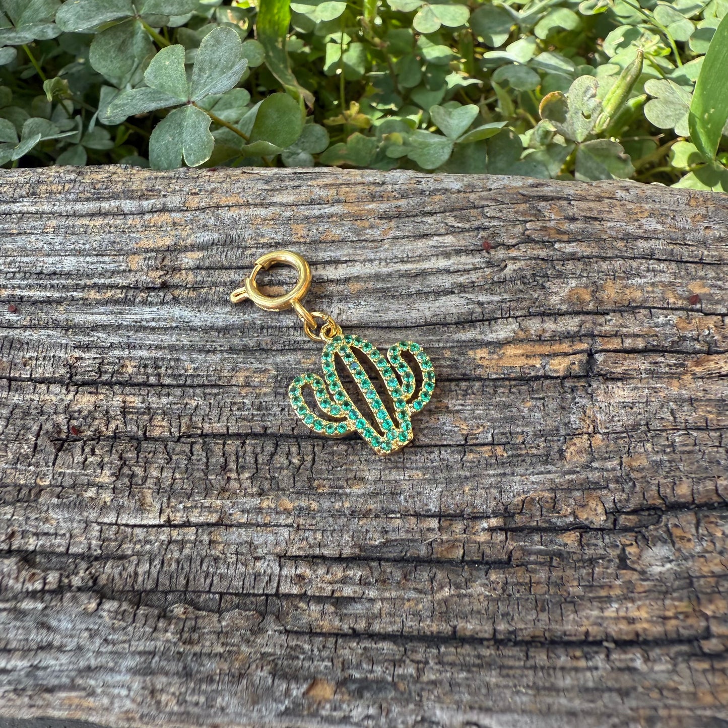 Charm / Kaktus (Schmuck)