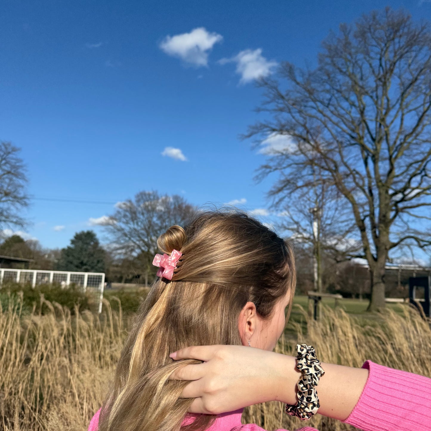 Bow Clip / RoseShine Mini S