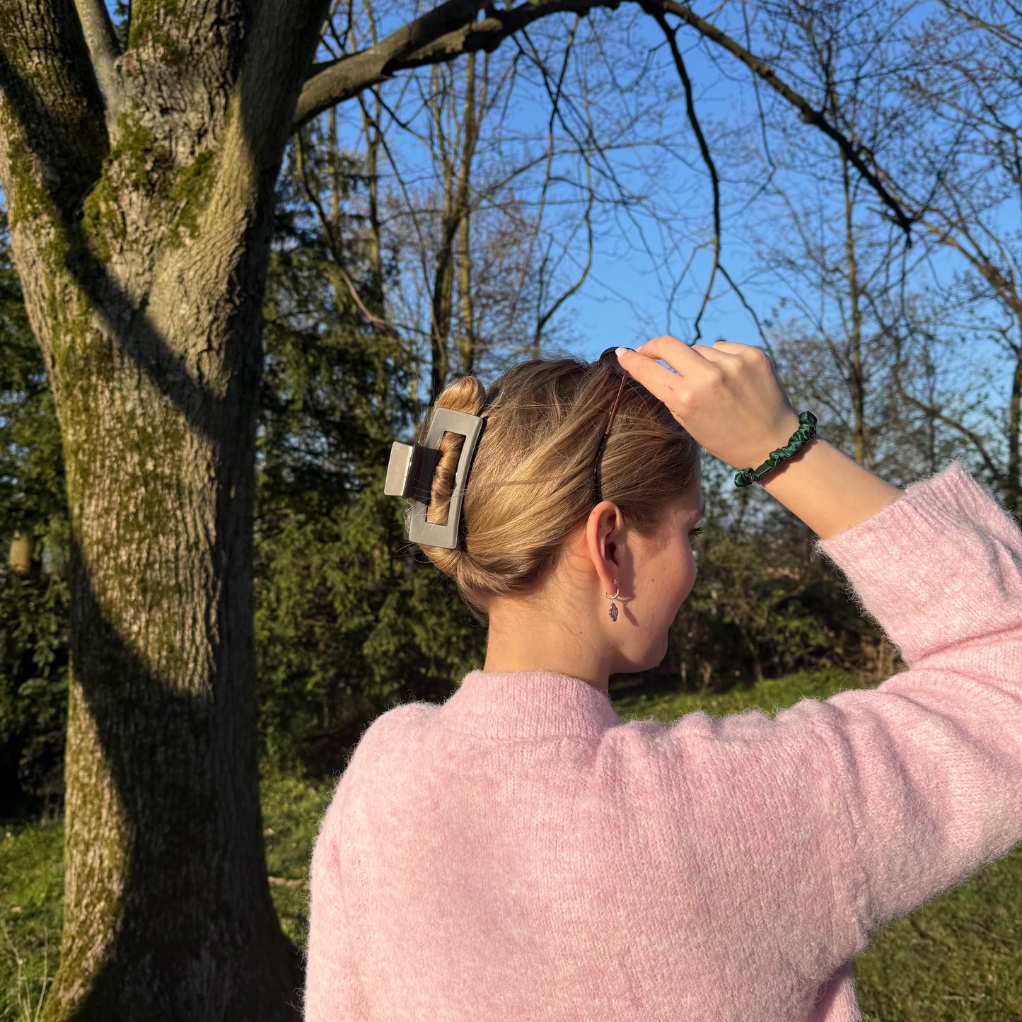 Highlight Clip / Chrom L