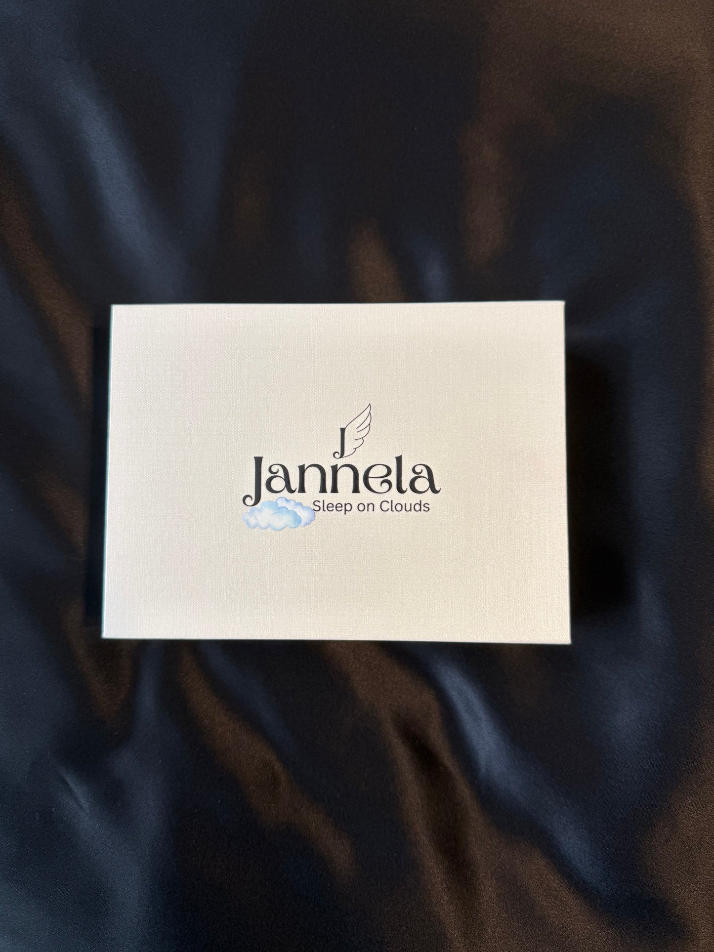 Kissenbezug aus Seide / Schwarz