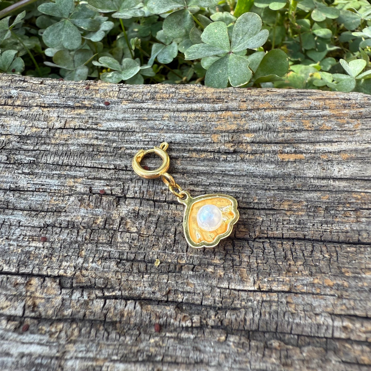 Charm / Muschel Perle (Schmuck)