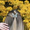 Butterfly Clip / CrystalMint