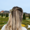 Round Clip /  HoneyLeaf L