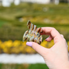 Butterfly Clip / HoneyLeaf