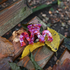 Wave Clip / PumpkinPlum L