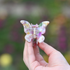 Butterfly Clip / FlowerParadise