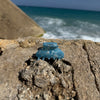 Round Clip / BlueMermaid M