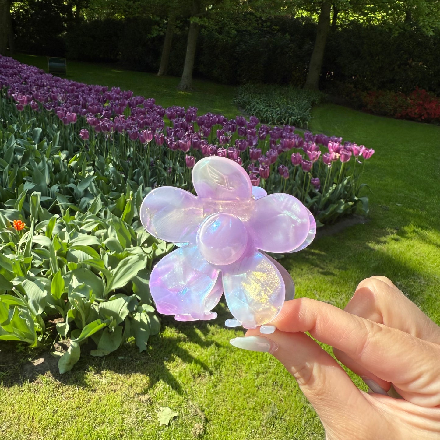 FlowerPower Clip / Aurora