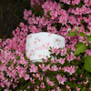 Aufbewahrungskorb Stoff / PureBlossom