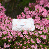 Kosmetiktasche / PureBlossom M