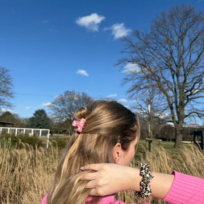 Bow Clip / RoseShine Mini S