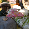 Round Clip /  „PumpkinFallDiamond Edition“ L