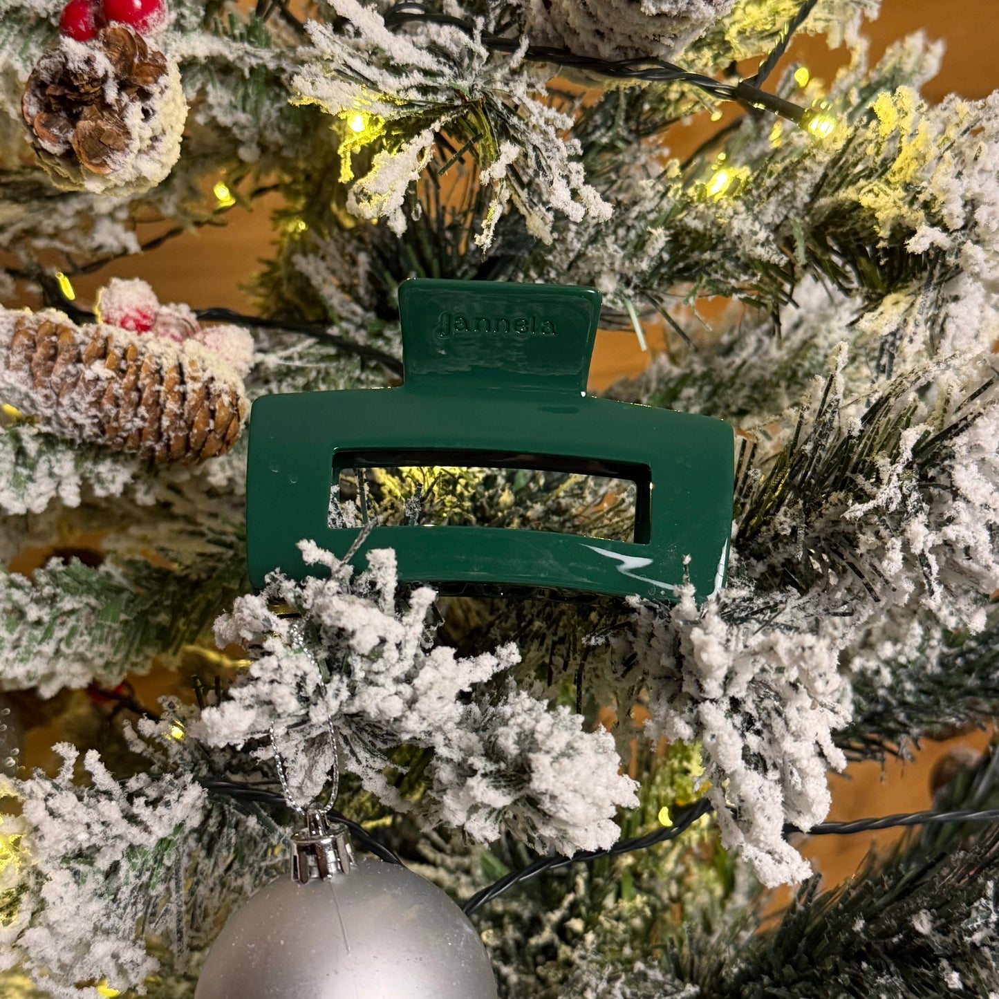 Highlight Clip / Forest Big L