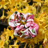 Silk Scrunchie / Bloomy