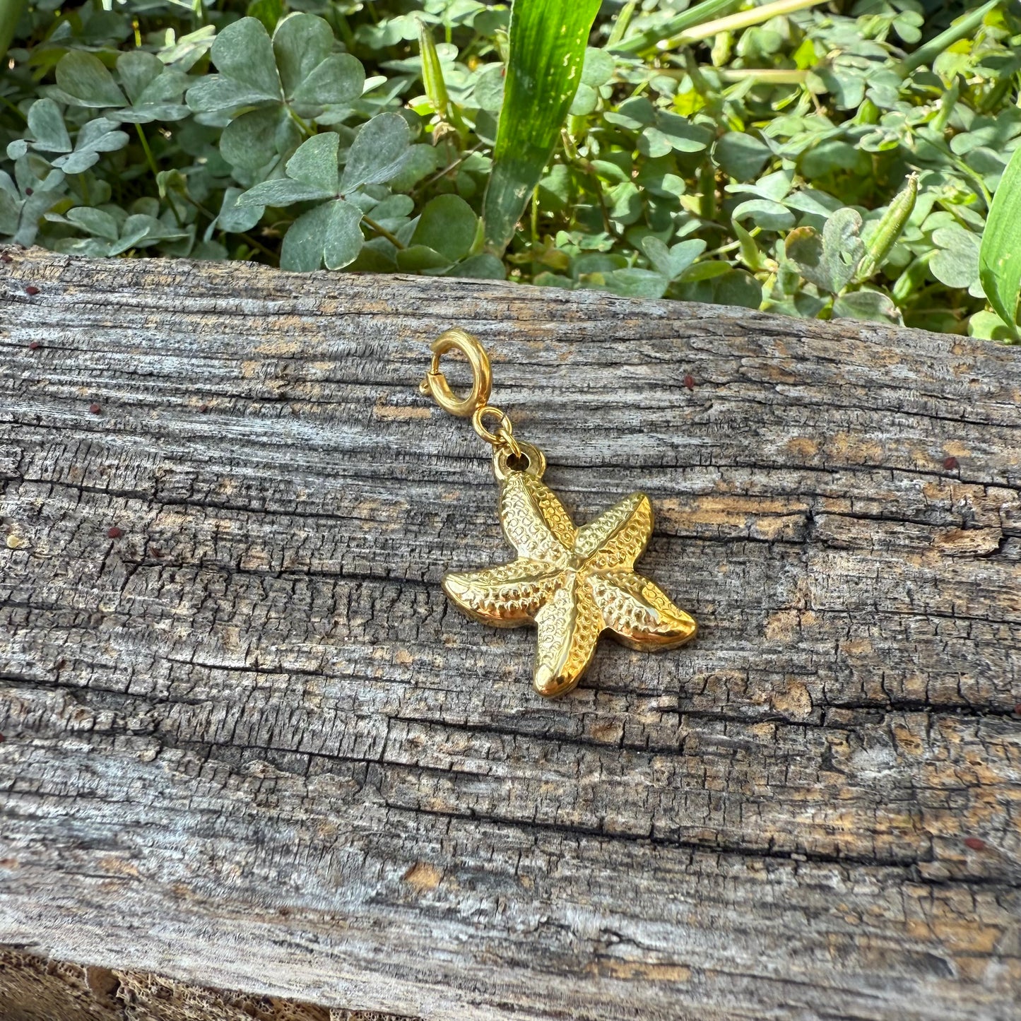 Charm / Seestern Gold (Schmuck)