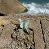 Butterfly Clip / LagoonGlow
