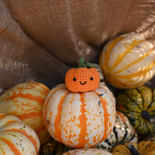 Anhänger / Pumpkin