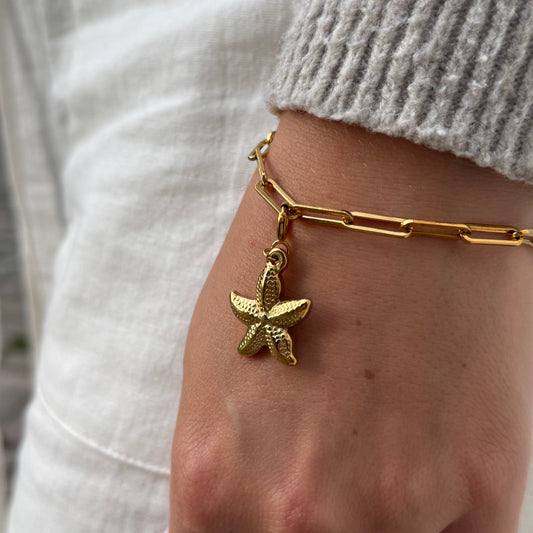 Charm / Seestern Gold (Schmuck)