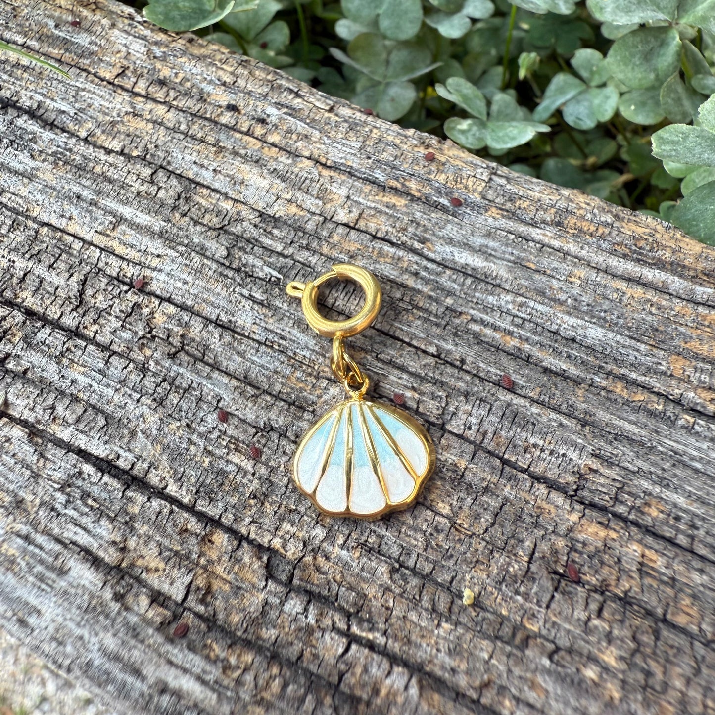 Charm / Muschel blau (Schmuck)
