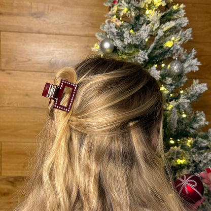 Highlight Clip / SantaShine S