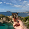 Butterfly Clip / WildLeo