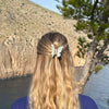 Butterfly Clip / LagoonGlow